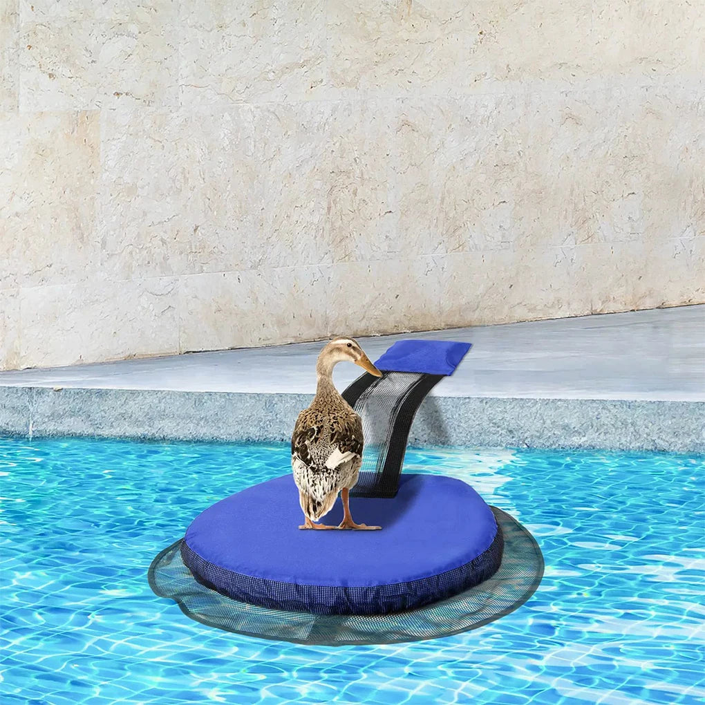 Swimming Pool Auxiliary Animal Landing Escape and Rescue Channel Animal Escape Inflatable Ladder Rescue Channel